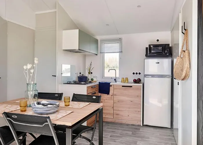 Camping Aux Oiseaux L'Ile-d'Olonne