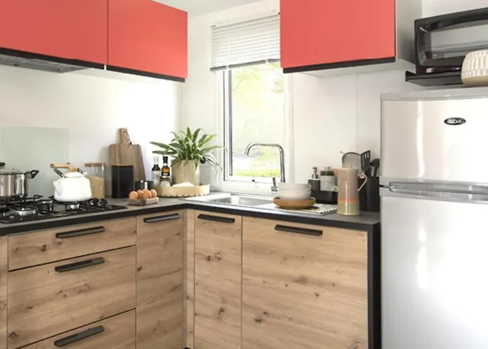 Aux Oiseaux * L'Ile-d'Olonne