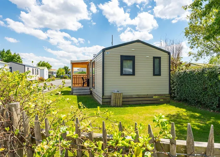 Aux Oiseaux L'Ile-d'Olonne