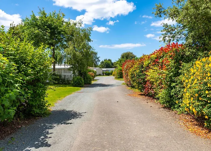 Aux Oiseaux Camping *